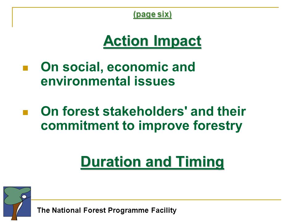The National Forest Programme Facility (page six) Action Impact On social, economic and environmental issues On forest stakeholders and their commitment to improve forestry Duration and Timing