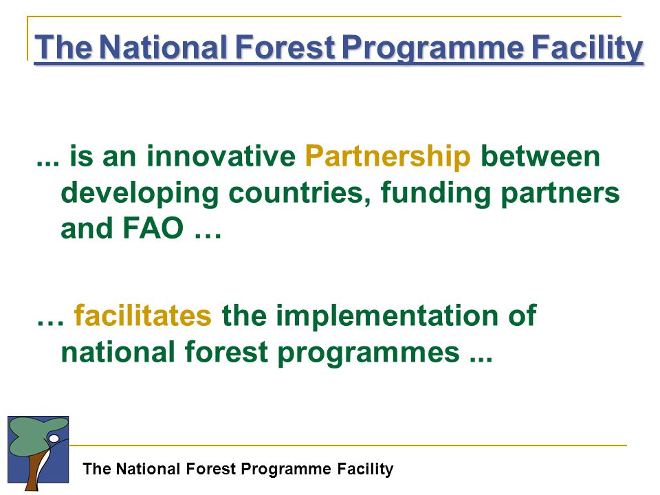The National Forest Programme Facility...