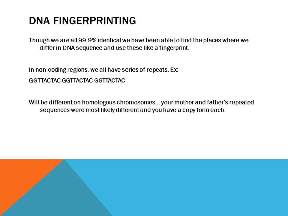 DNA FINGERPRINTING Though we are all 99.9% identical we have been able to find the places where we differ in DNA sequence and use these like a fingerprint.