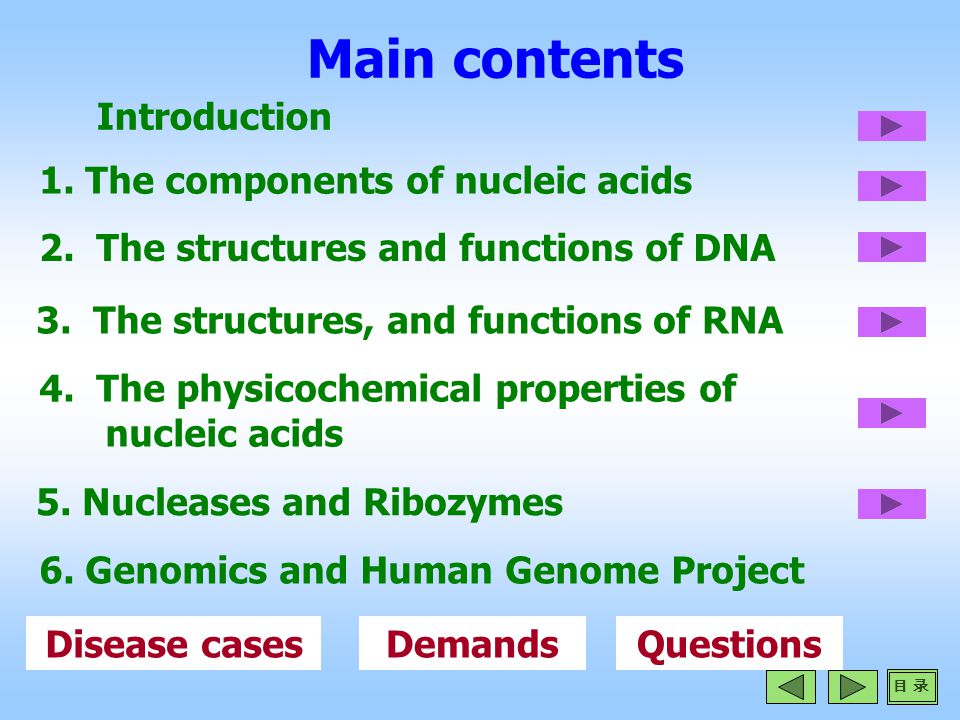 functions of nucleic acids magdalene project org what is the function of nucleic acids