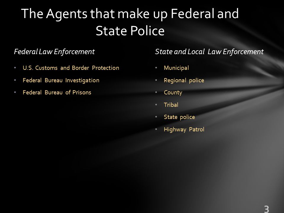Federal Law EnforcementState and Local Law Enforcement Municipal Regional police County Tribal State police Highway Patrol U.S.