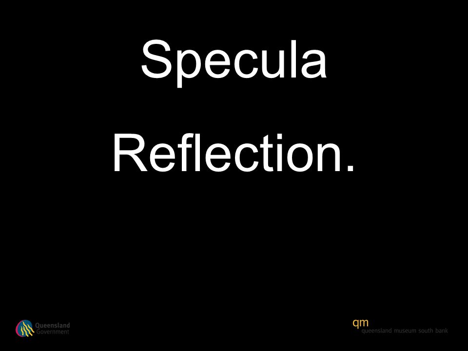 Specula Reflection.