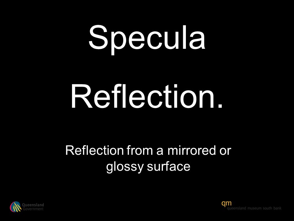 Reflection from a mirrored or glossy surface Specula Reflection.
