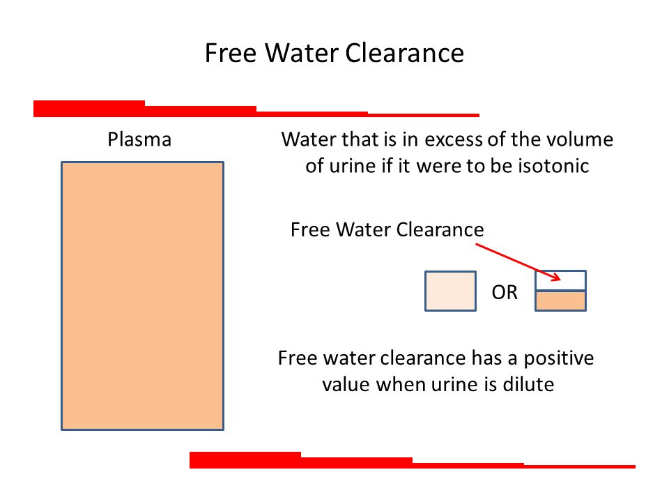 electrolyte free water clearance