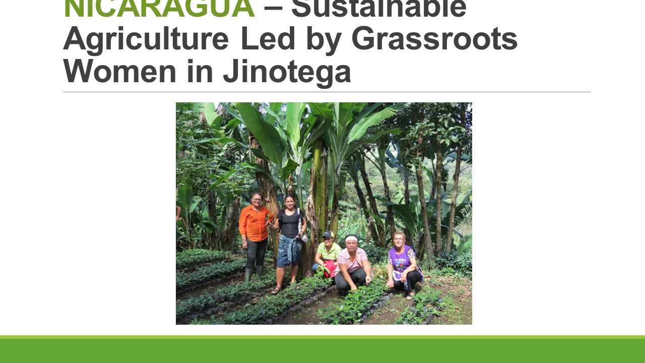 NICARAGUA – Sustainable Agriculture Led by Grassroots Women in Jinotega