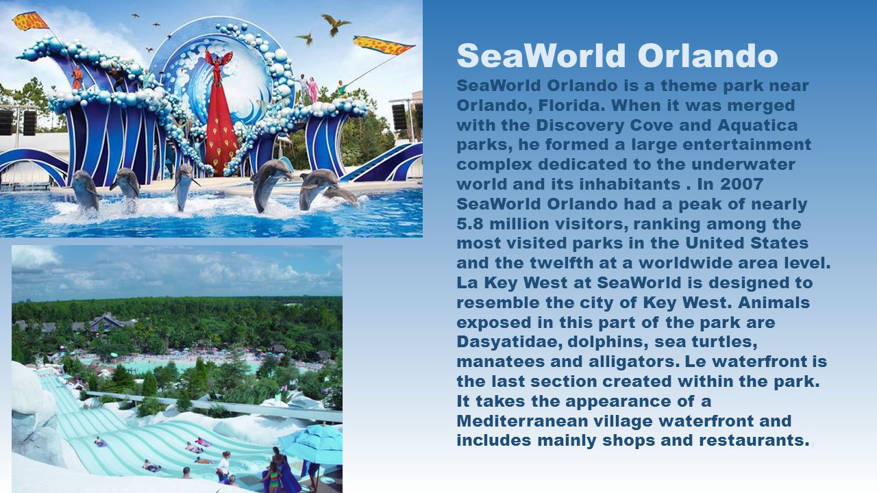 SeaWorld Orlando SeaWorld Orlando is a theme park near Orlando, Florida.