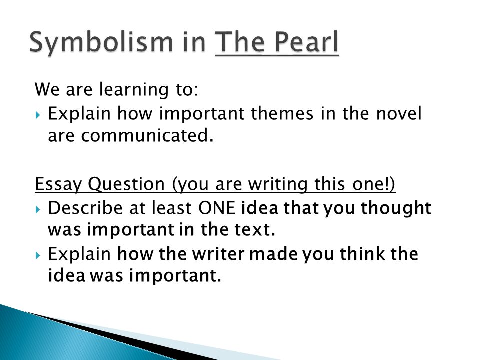 novel critical analysis essay novel critical analysis essay