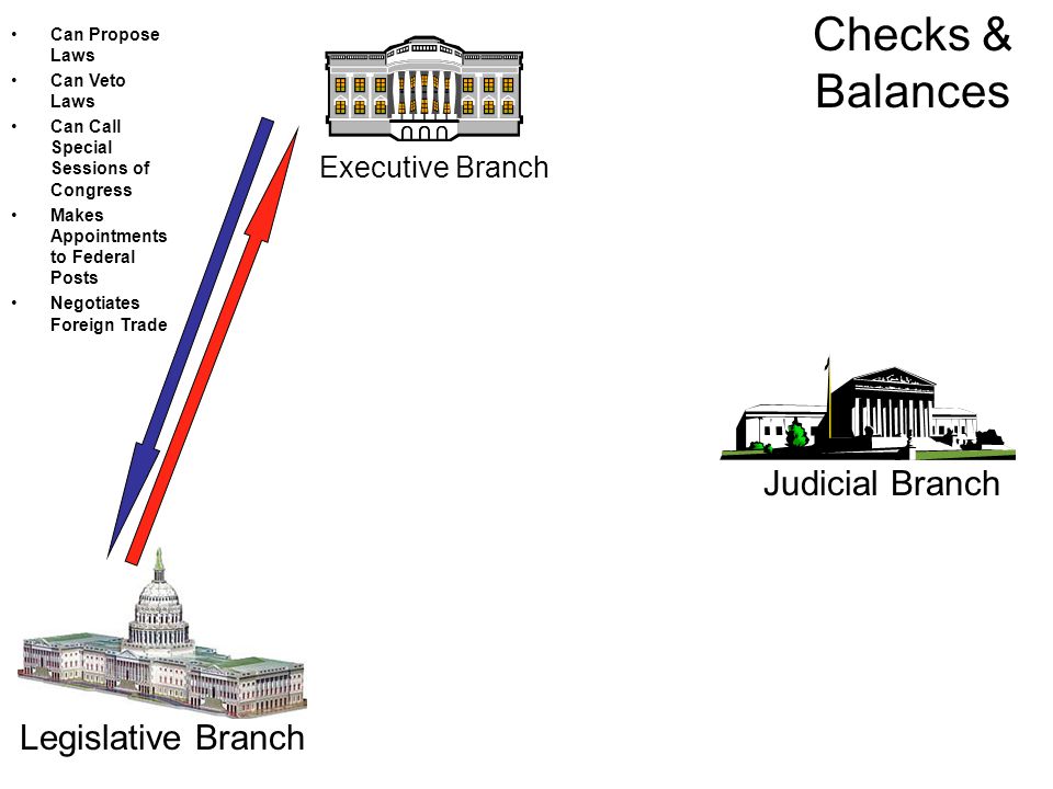 Executive Branch Judicial Branch Legislative Branch Can Propose Laws Can Veto Laws Can Call Special Sessions of Congress Makes Appointments to Federal Posts Negotiates Foreign Trade Checks & Balances