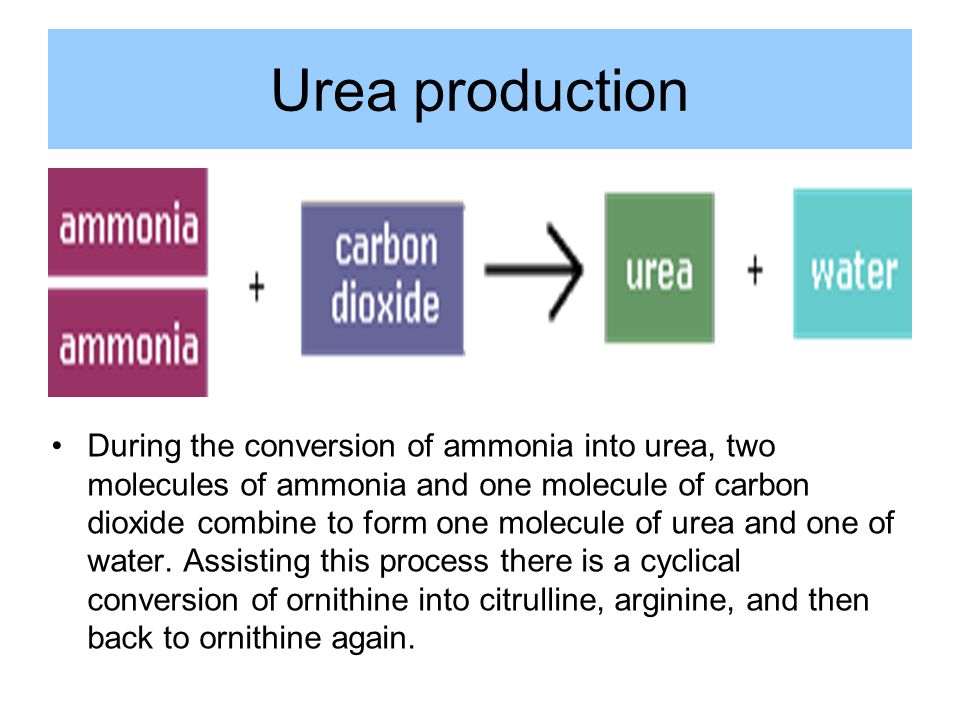 higher human biology chapter 23 removal of materials from the blood water and carbon dioxide combine to form