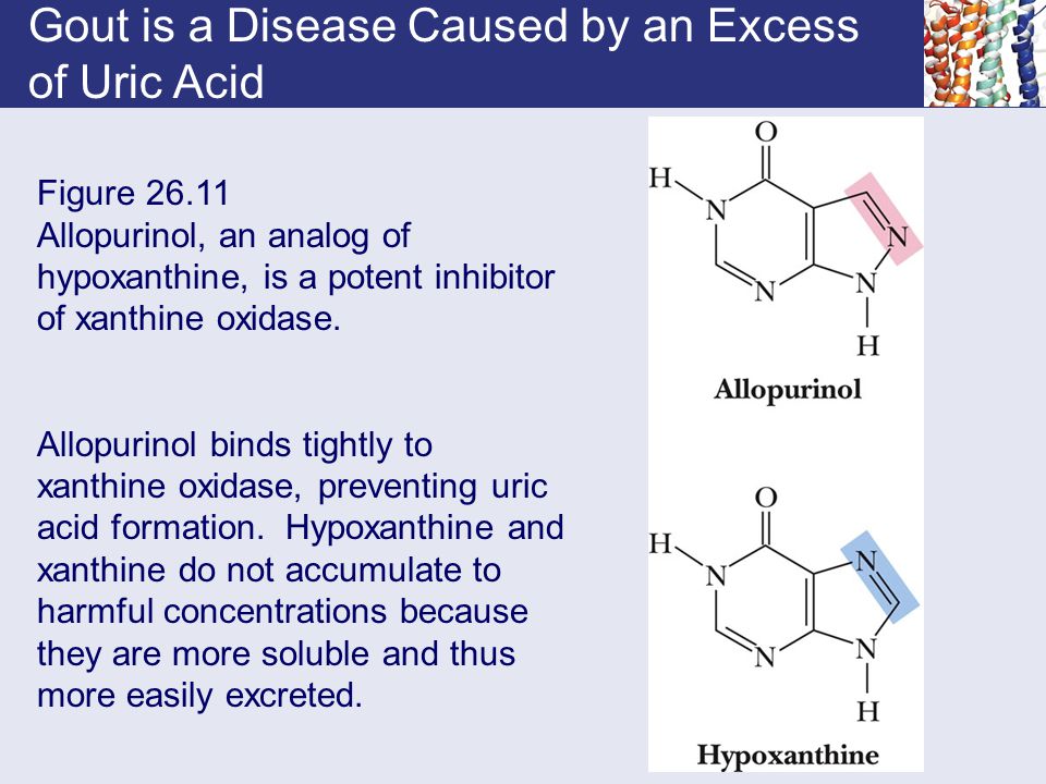 Codeine - brand name list from Drugscom