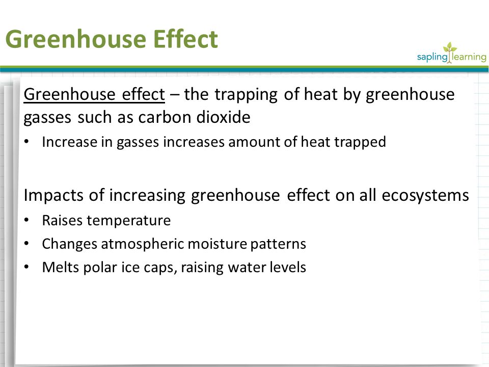Greenhouse effect – the trapping of heat by greenhouse gasses such as carbon dioxide Increase in gasses increases amount of heat trapped Impacts of increasing greenhouse effect on all ecosystems Raises temperature Changes atmospheric moisture patterns Melts polar ice caps, raising water levels Greenhouse Effect