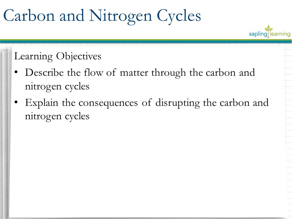 Learning Objectives Describe the flow of matter through the carbon and nitrogen cycles Explain the consequences of disrupting the carbon and nitrogen cycles Carbon and Nitrogen Cycles