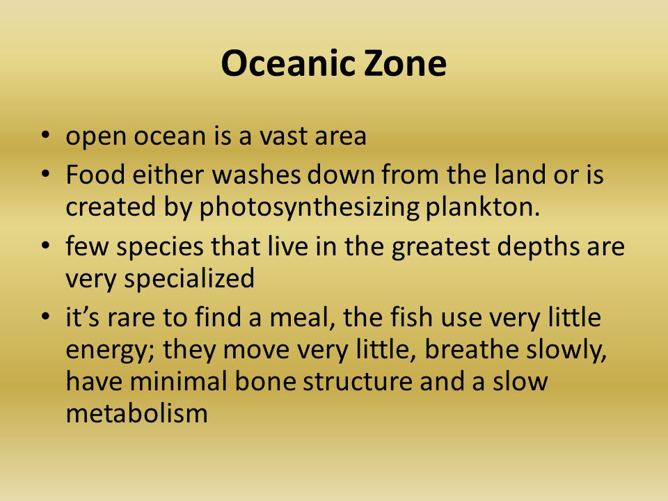 Oceanic Zone open ocean is a vast area Food either washes down from the land or is created by photosynthesizing plankton.
