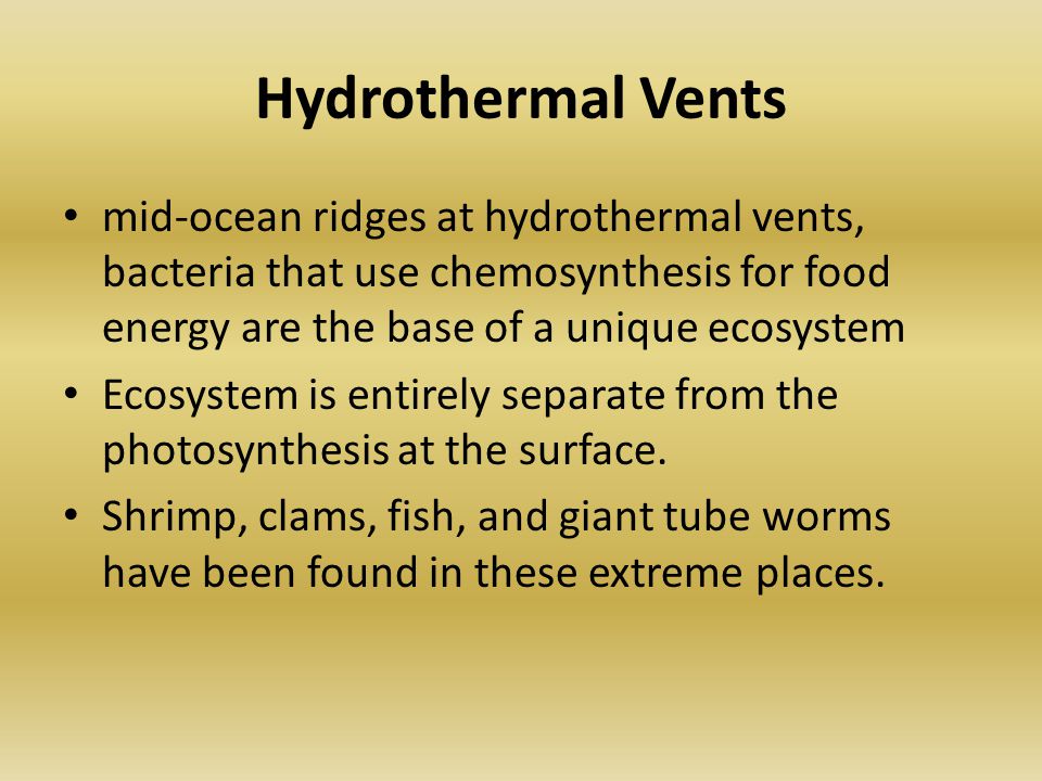 Hydrothermal Vents mid-ocean ridges at hydrothermal vents, bacteria that use chemosynthesis for food energy are the base of a unique ecosystem Ecosystem is entirely separate from the photosynthesis at the surface.