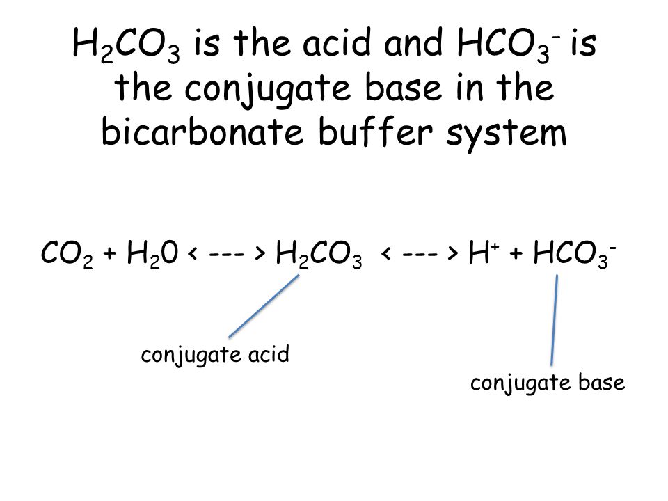 Acid Base Balance Perhaps The Most Important Homeostatic Process 22 H 2 Co 3 Is The Acid And Hco Conjugate Base In Bicarbonate Buffer System 0