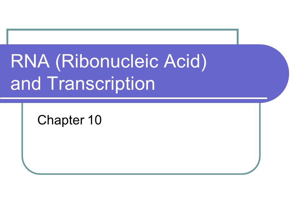 RNA (Ribonucleic Acid) and Transcription Chapter 10