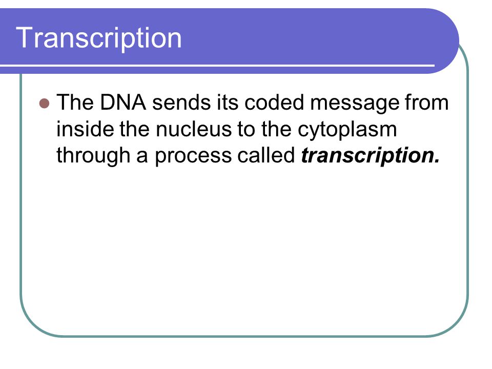 Transcription The DNA sends its coded message from inside the nucleus to the cytoplasm through a process called transcription.