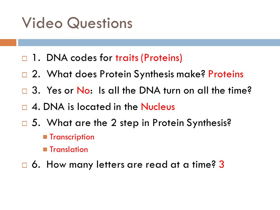 ap biology transcription and translation essay Regulation of gene expression prokaryotes eukaryotes in prokaryotes, transcription and translation happen simultaneously (they are coupled) prokaryotes regulate gene expression (and therefore their metabolism) almost entirely by regulating transcription. ap biology transcription and translation essay Regulation of gene expression prokaryotes eukaryotes in prokaryotes, transcription and translation happen simultaneously (they are coupled) prokaryotes regulate gene expression (and therefore their metabolism) almost entirely by regulating transcription.