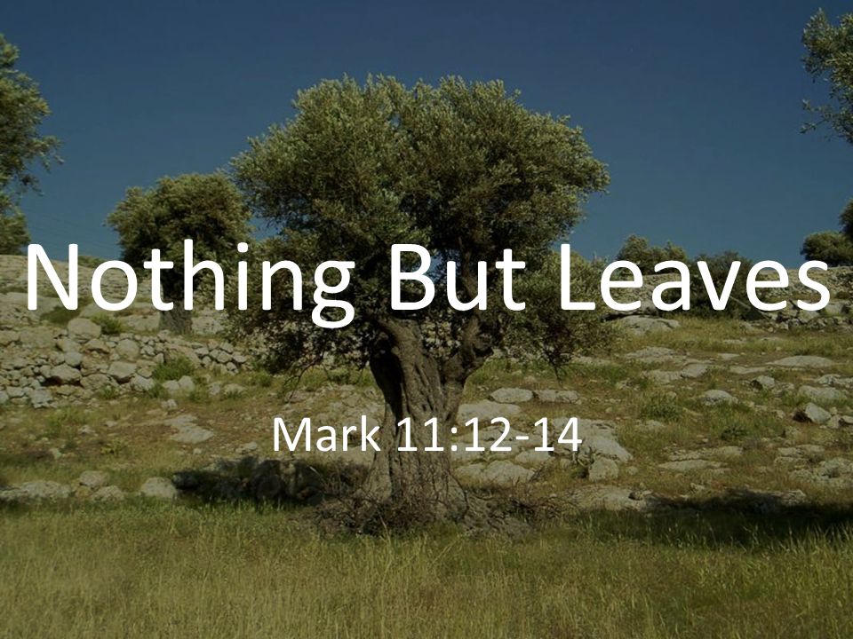 Nothing But Leaves Mark 11:12-14