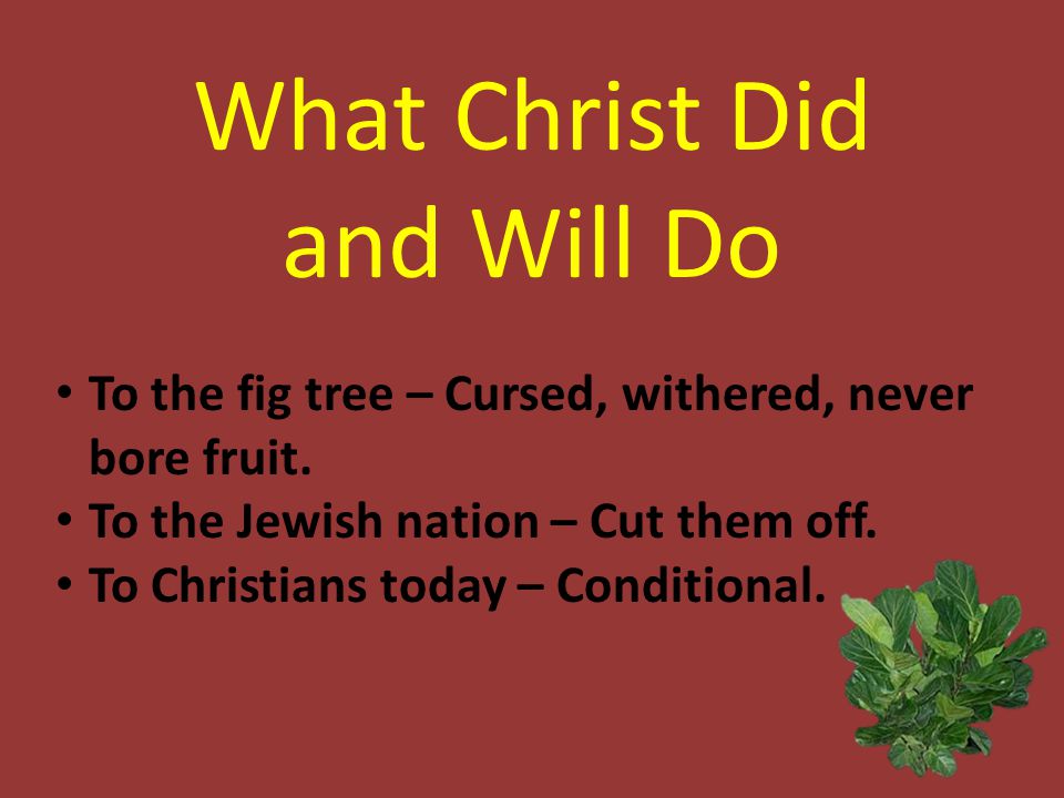What Christ Did and Will Do To the fig tree – Cursed, withered, never bore fruit.