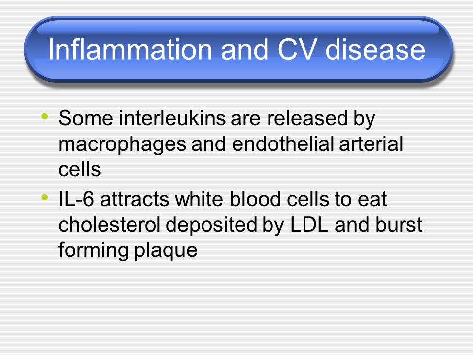 Inflammation and CV disease Some interleukins are released by macrophages and endothelial arterial cells IL-6 attracts white blood cells to eat cholesterol deposited by LDL and burst forming plaque