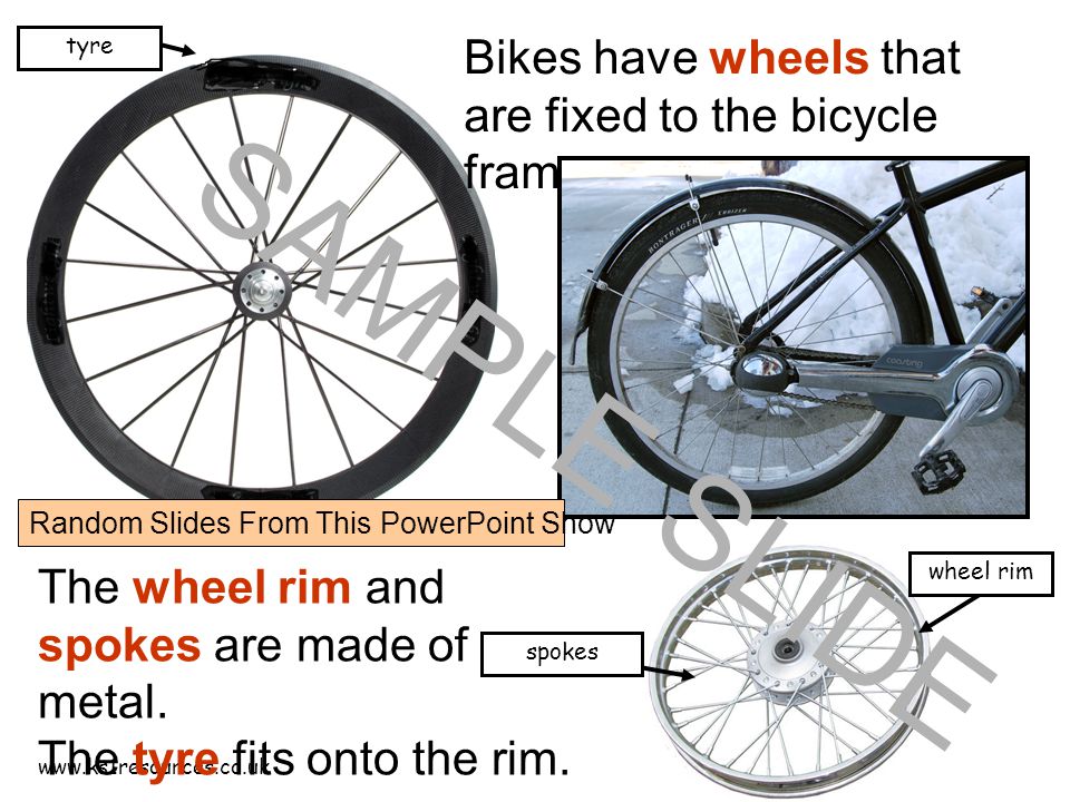Bikes have wheels that are fixed to the bicycle frame.