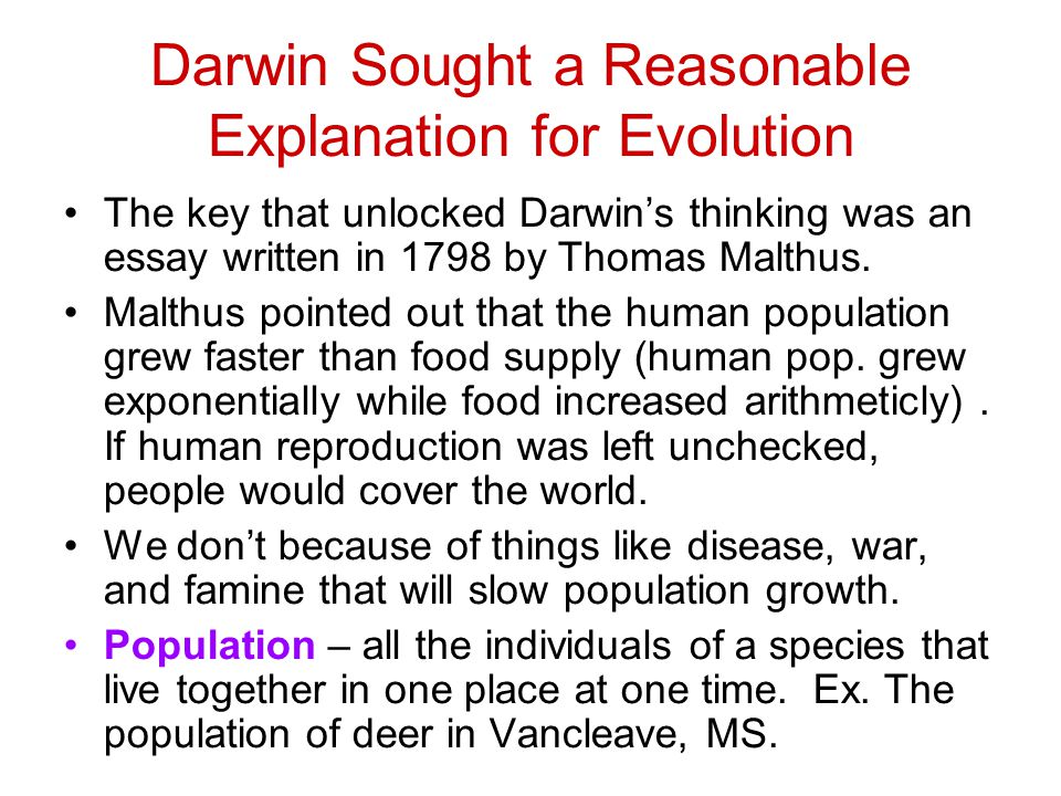 Human Evolution Essay