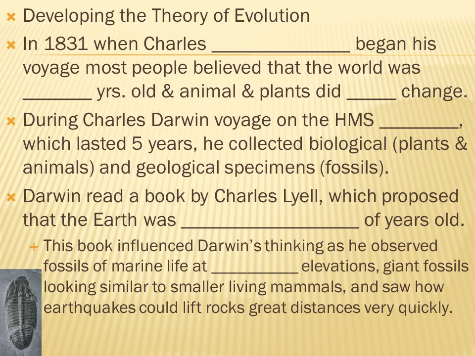 Charles Darwin Essay
