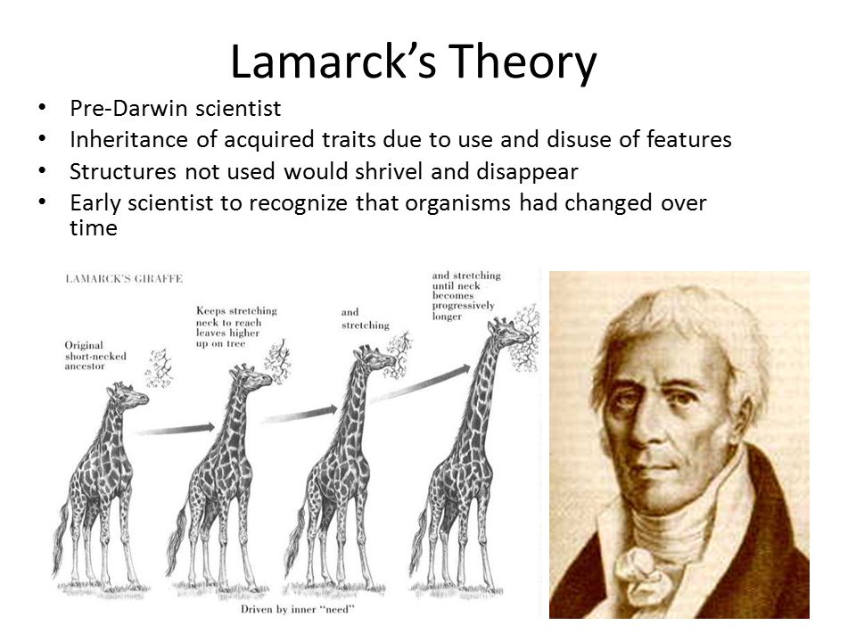 lamarck vs darwin venn diagram rome fontanacountryinn com lamarck vs darwin venn diagram