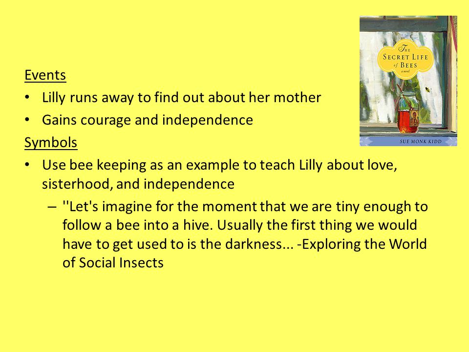 Secret life of bees essay outline