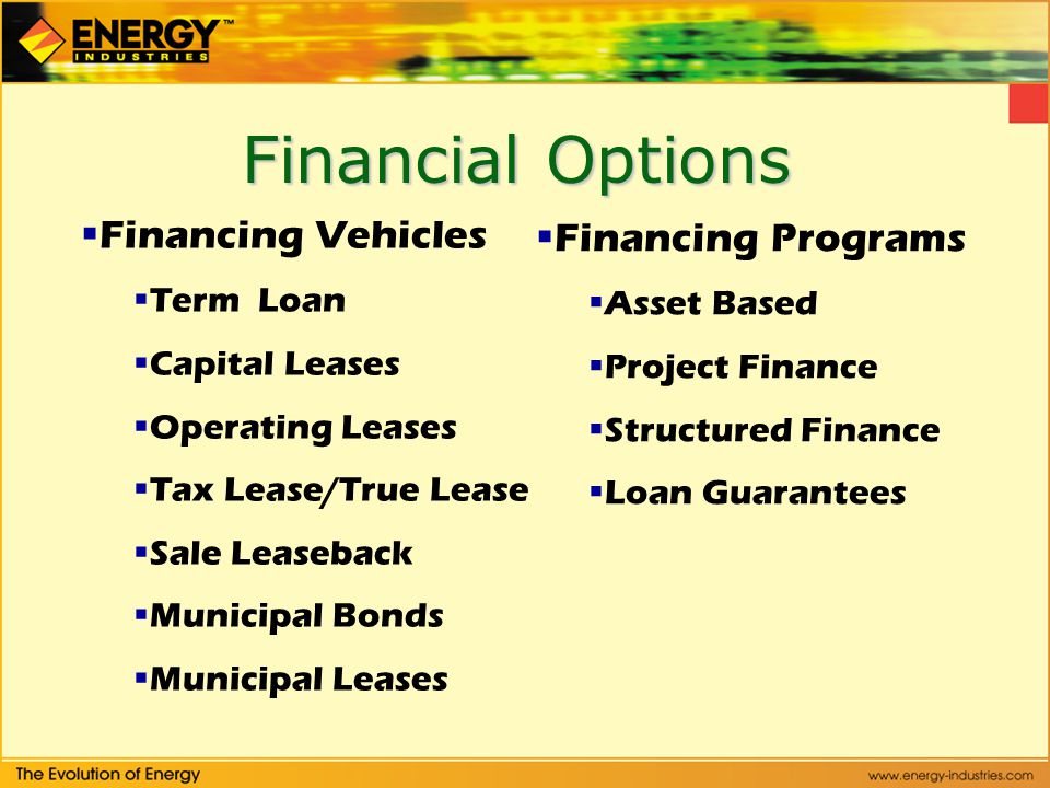 Financial Options  Financing Vehicles  Term Loan  Capital Leases  Operating Leases  Tax Lease/True Lease  Sale Leaseback  Municipal Bonds  Municipal Leases  Financing Programs  Asset Based  Project Finance  Structured Finance  Loan Guarantees