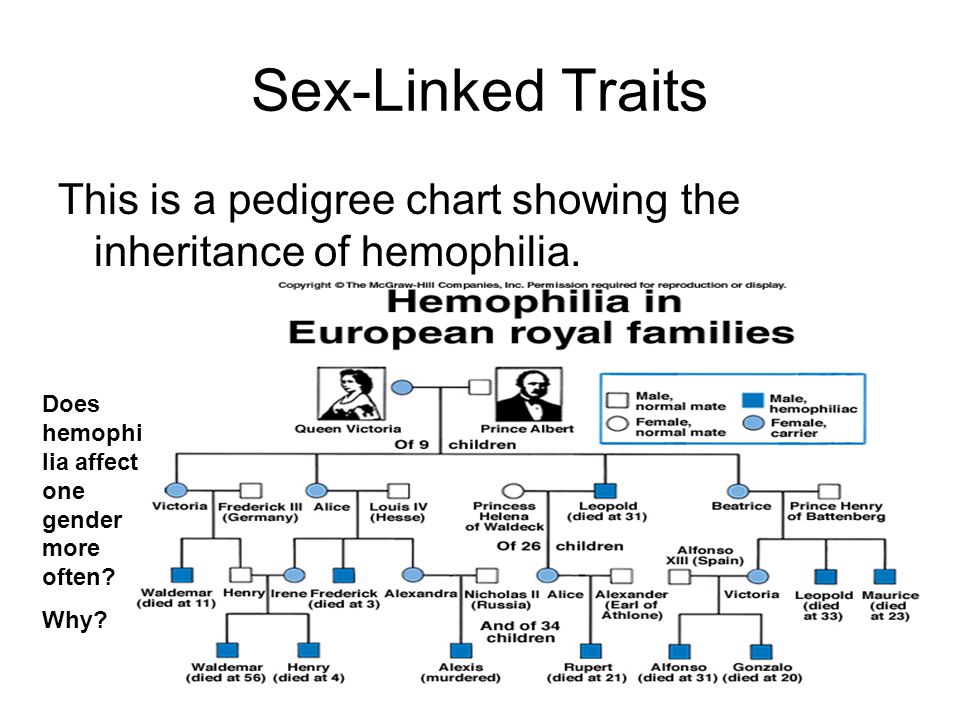 Hemophilia Pedigree Chart Royal Family