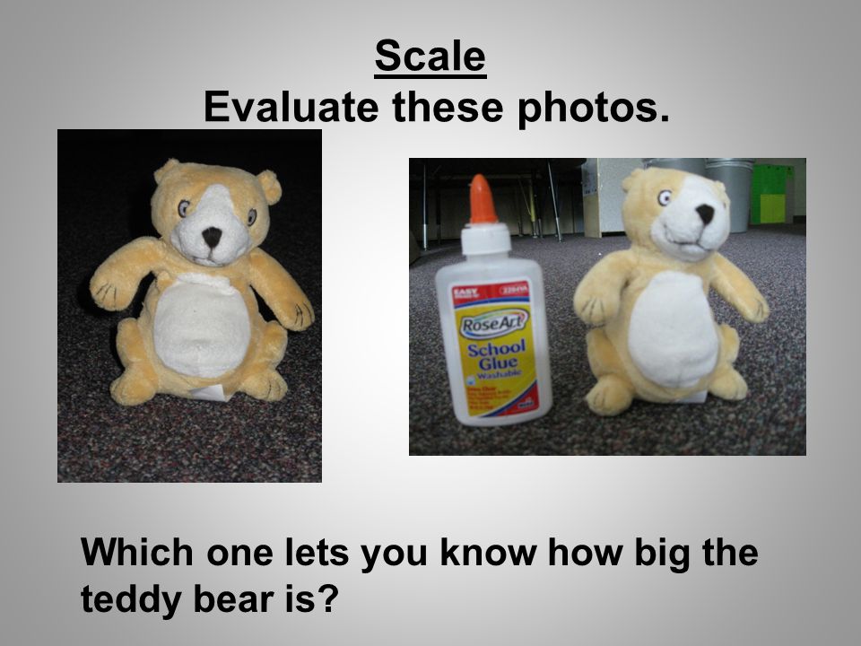 Scale Evaluate these photos. Which one lets you know how big the teddy bear is