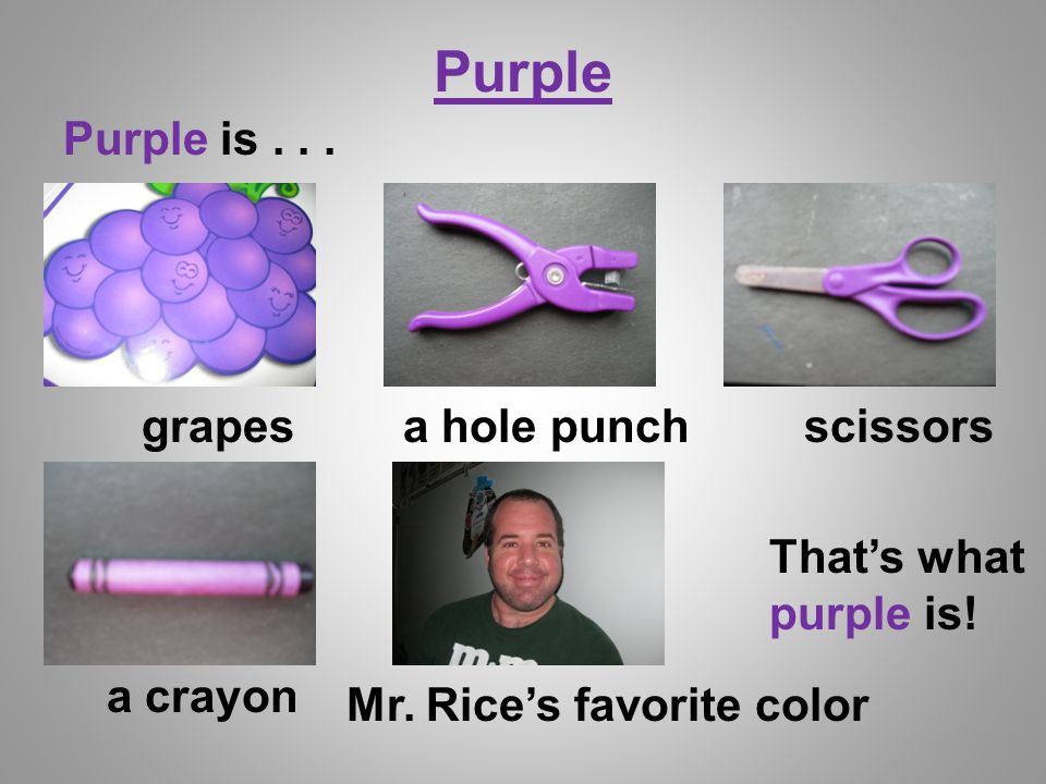 Purple Purple is... grapesa hole punchscissors Mr.
