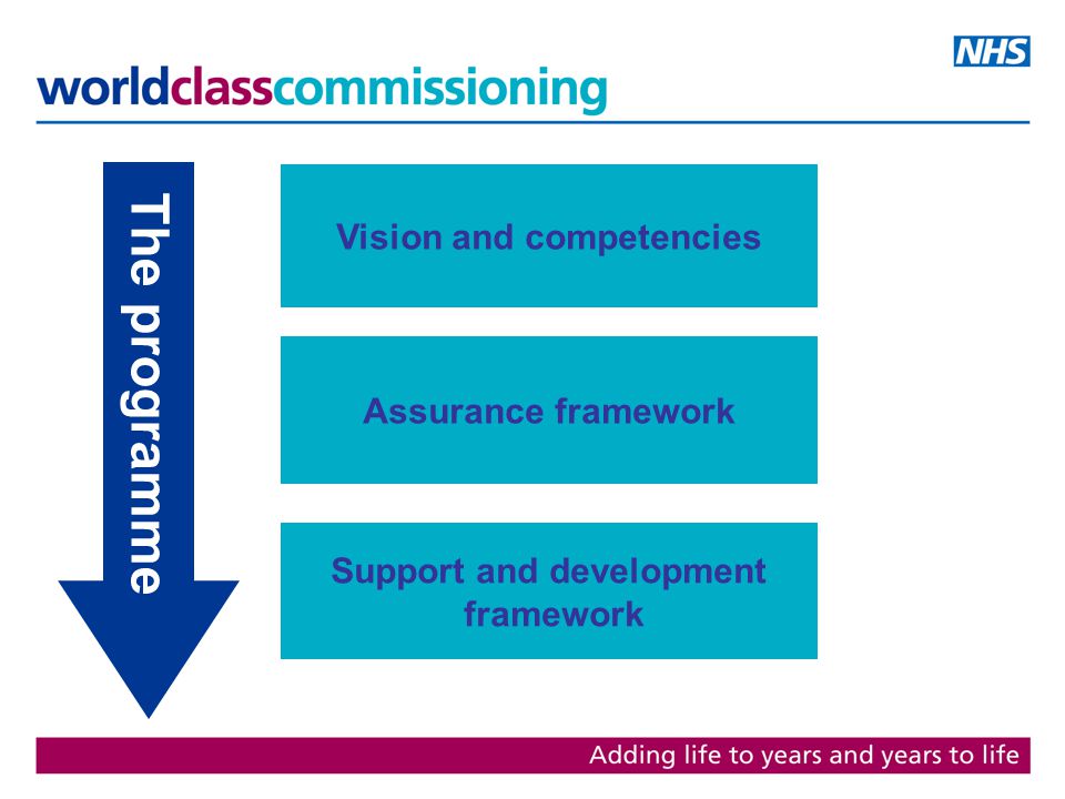 The programme Vision and competencies Assurance framework Support and development framework