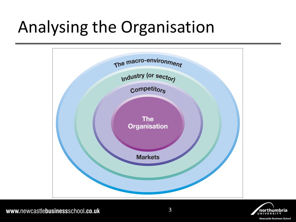 Analysing the Organisation 3