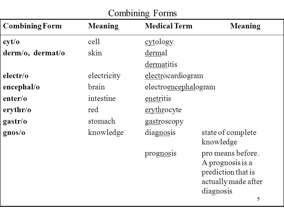 combining forms suffixes and prefixes dr belal hijji rn phd form prefix