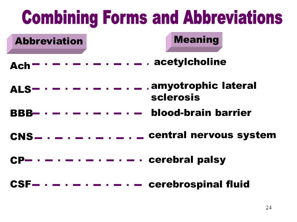 syrian private university medical faculty medical terminology m a combining form meaning bone marrow