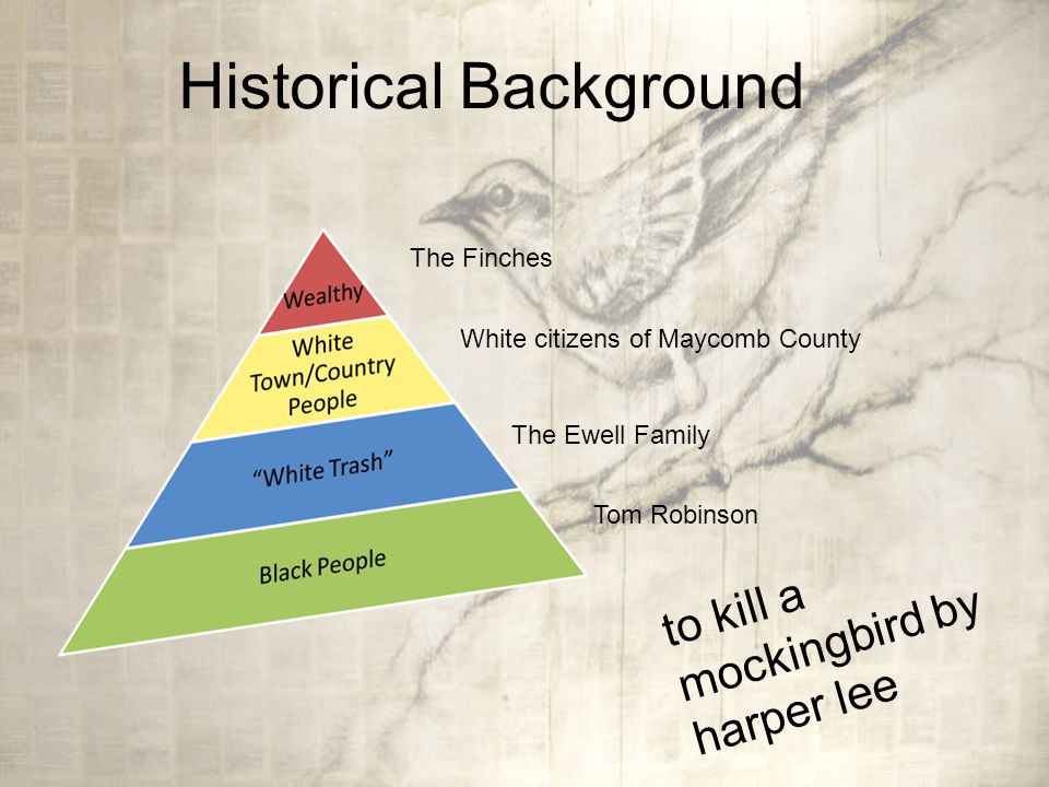 Historical Background to kill a mockingbird by harper lee The Finches White citizens of Maycomb County The Ewell Family Tom Robinson
