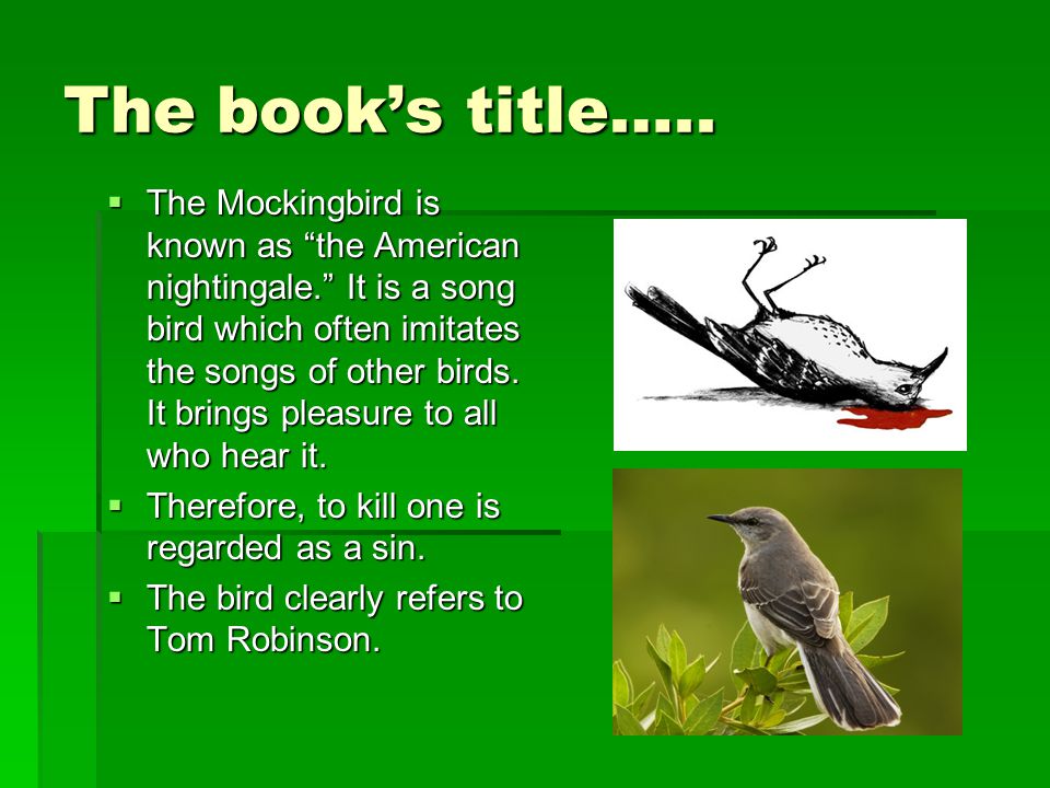 essay on to kill a mockingbird title essay on to kill a mockingbird title