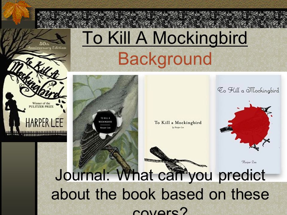 To Kill A Mockingbird Background Journal: What can you predict about the book based on these covers