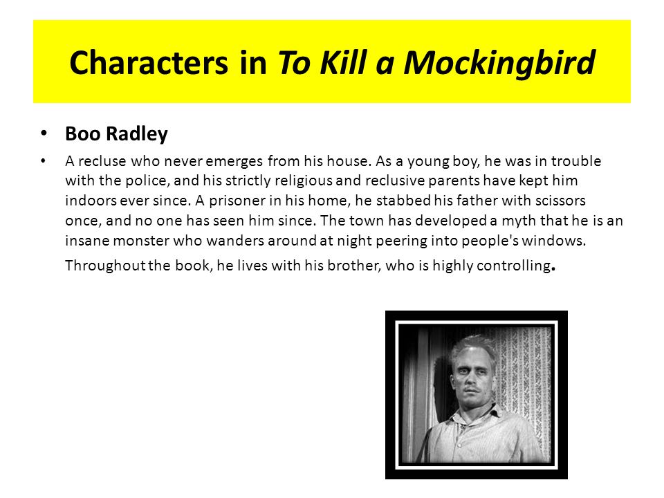 Boo Radley Essay