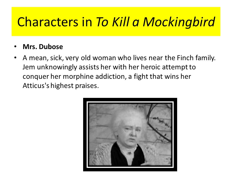 to kill a mockingbird jem and to kill a mockingbird jem and