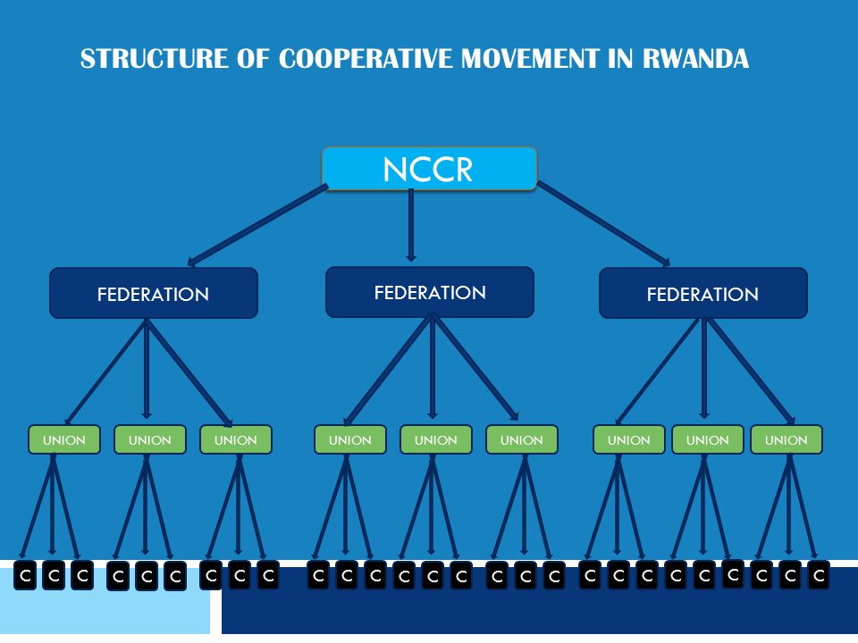 NCCR FEDERATION UNION FEDERATION UNION CCC CCCCC CCCCCC CCC CCC CCCCCC STRUCTURE OF COOPERATIVE MOVEMENT IN RWANDA C