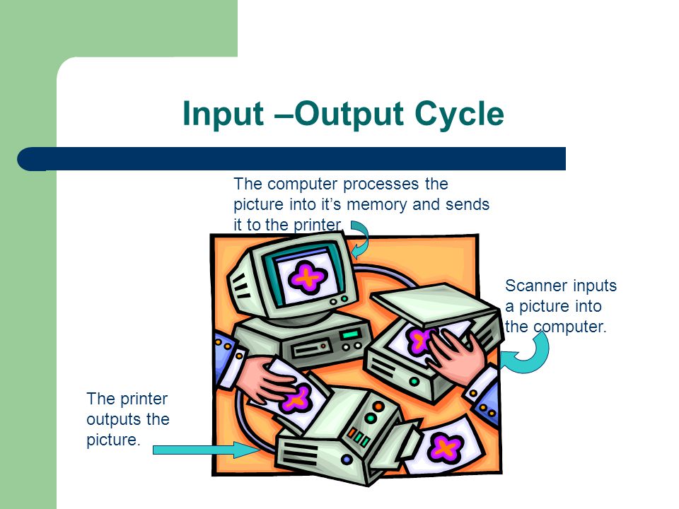 Input –Output Cycle Scanner inputs a picture into the computer.