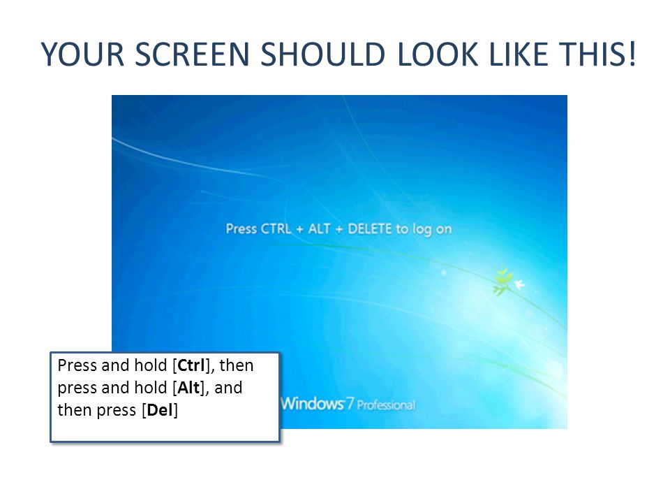 YOUR SCREEN SHOULD LOOK LIKE THIS.