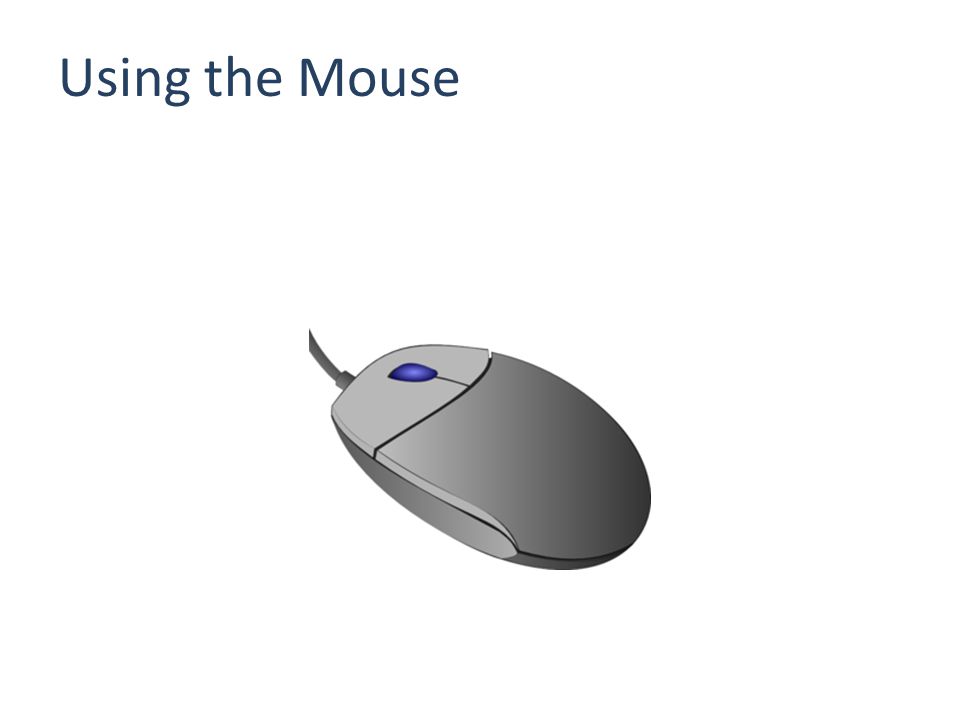 Using the Mouse