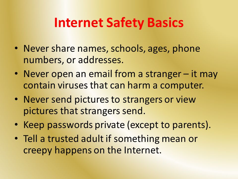 Internet Safety Basics Never share names, schools, ages, phone numbers, or addresses.