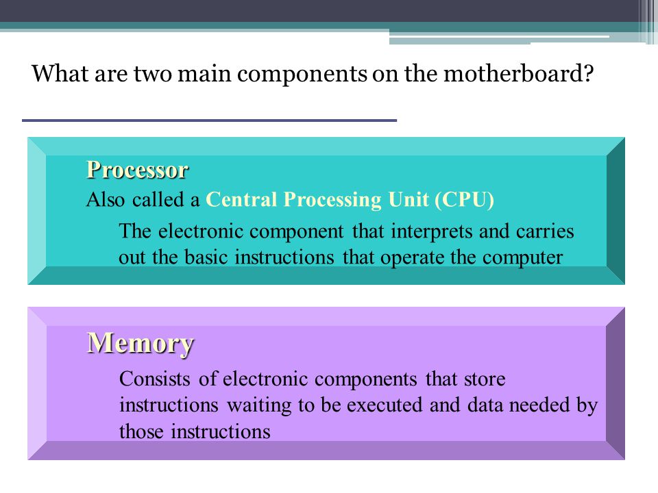 What are two main components on the motherboard.