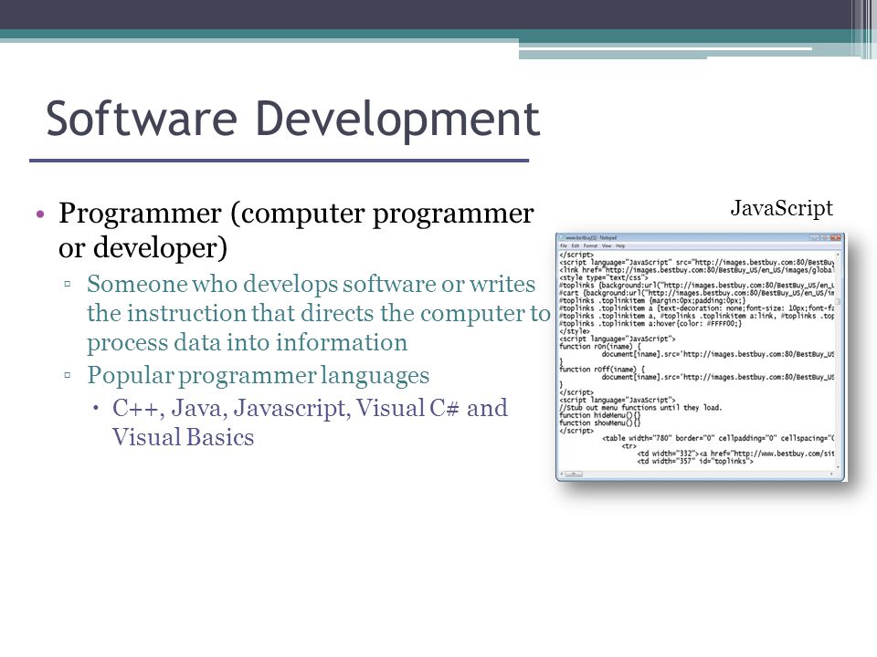 Software Development Programmer (computer programmer or developer) ▫Someone who develops software or writes the instruction that directs the computer to process data into information ▫Popular programmer languages  C++, Java, Javascript, Visual C# and Visual Basics JavaScript